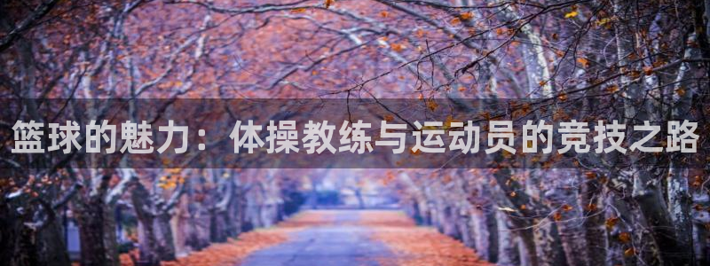 k1体育app下载