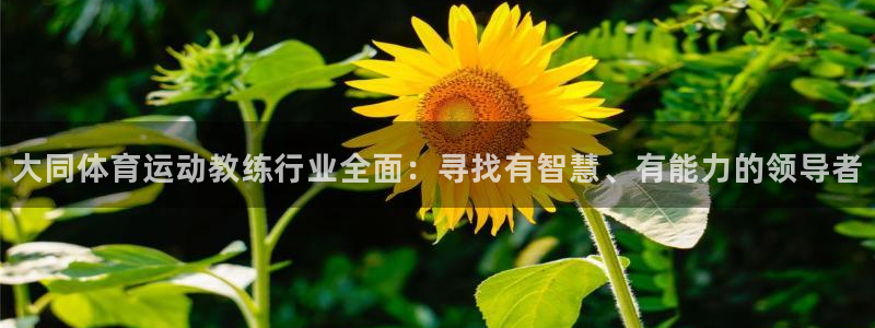 k1体育网址