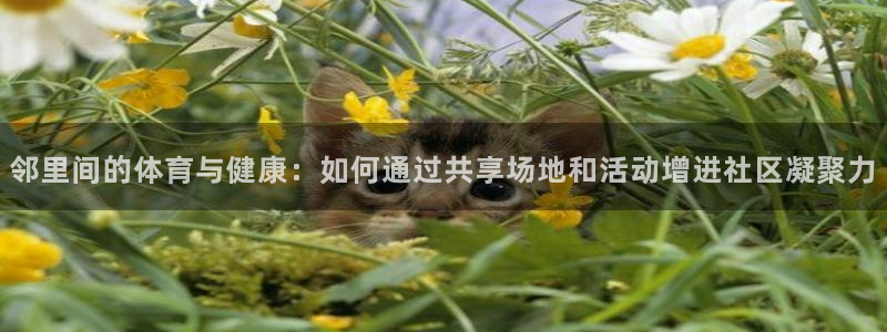 k1体育平台3915