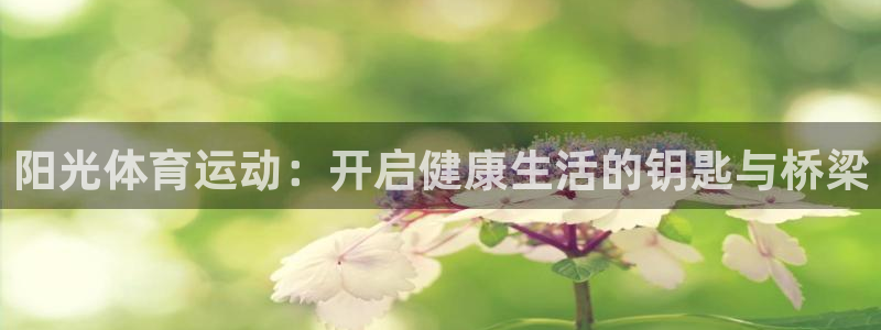 k1体育app官网登录入口