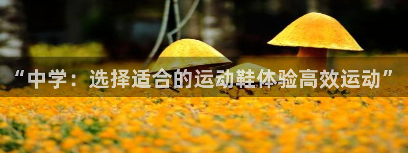 k1体育网址是多少