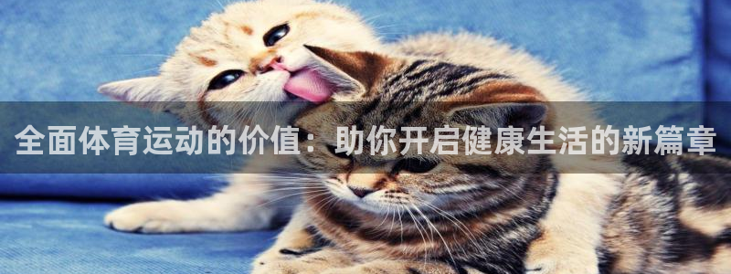 k1体育平台下载