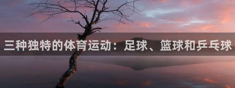k1体育网址